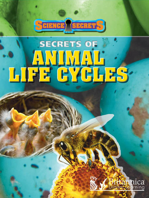 Title details for Secrets of Animal Life Cycles by Andrew Solway - Wait list